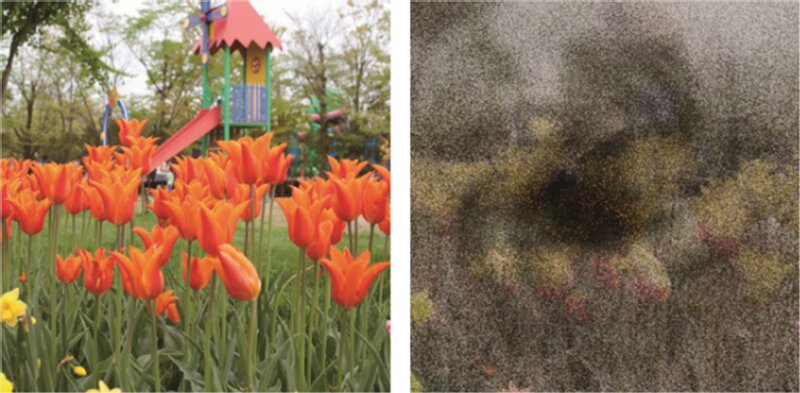 晴眼者と川渕さんの見え方の違いを表した写真。左の風景が川渕さんには右のように見えている（本人提供）