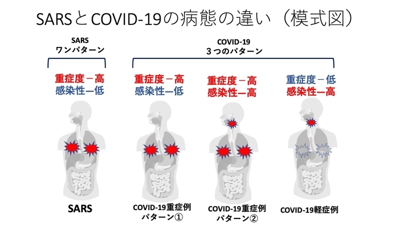 東北大学押谷仁教授から許可を得て掲載。一部改変