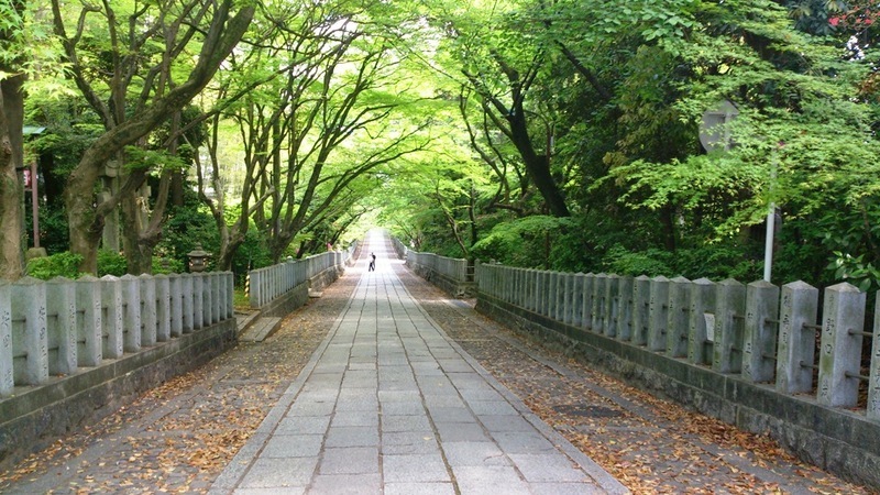 2 長さが200m程続く向日神社の美しい参道