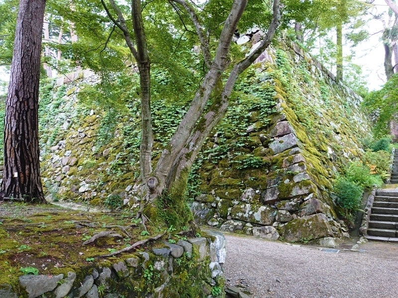 亀山城跡に残る石垣