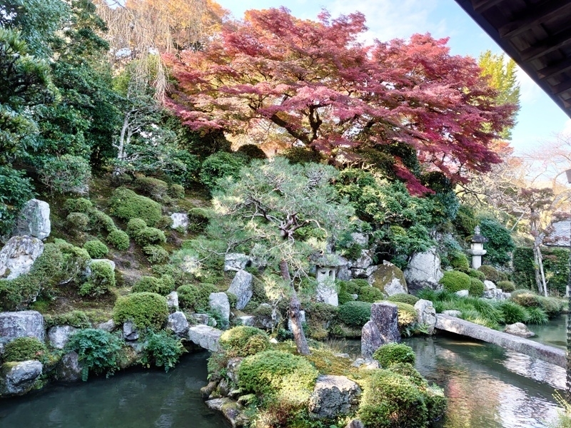 滋賀院門跡の庭園