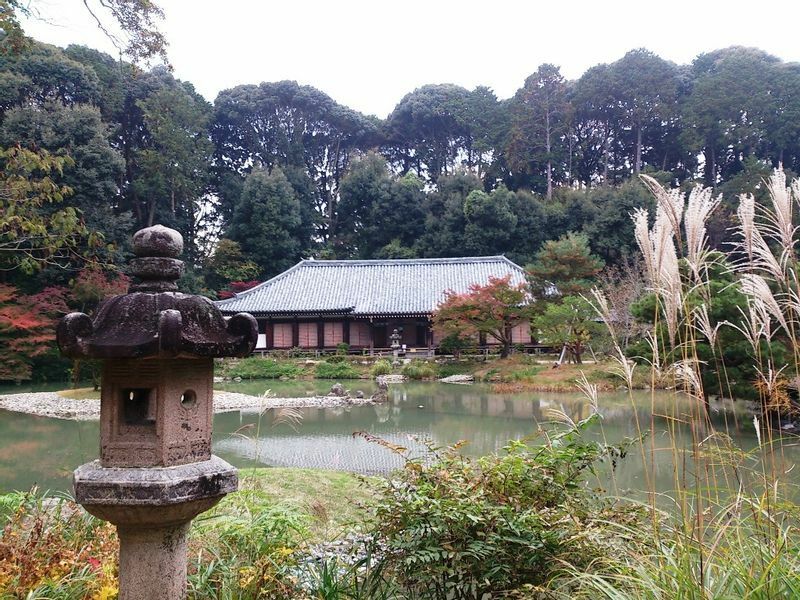 浄瑠璃寺の庭園。池の向こう（西側）には九体仏が安置される阿弥陀堂がある
