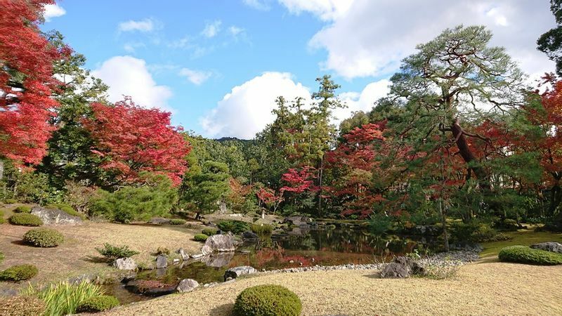無鄰菴の庭園。東山を雄大に取り込み、琵琶湖疏水を使って動きのある庭園に仕上げている