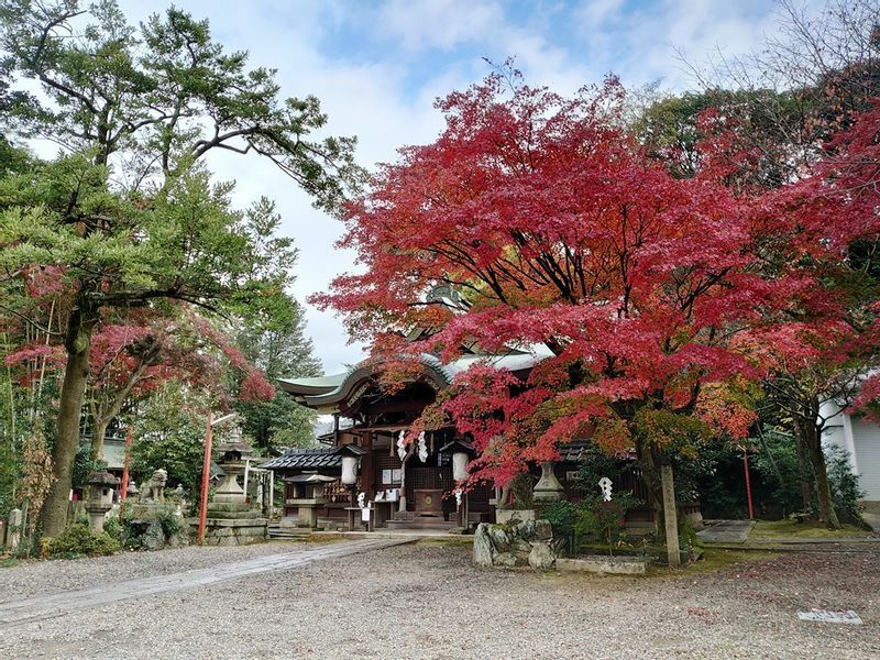 粟田神社。本殿手前のカエデも見事に色づいている