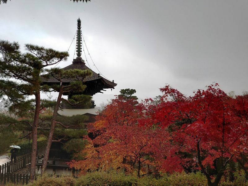 常寂光寺の多宝塔と紅葉