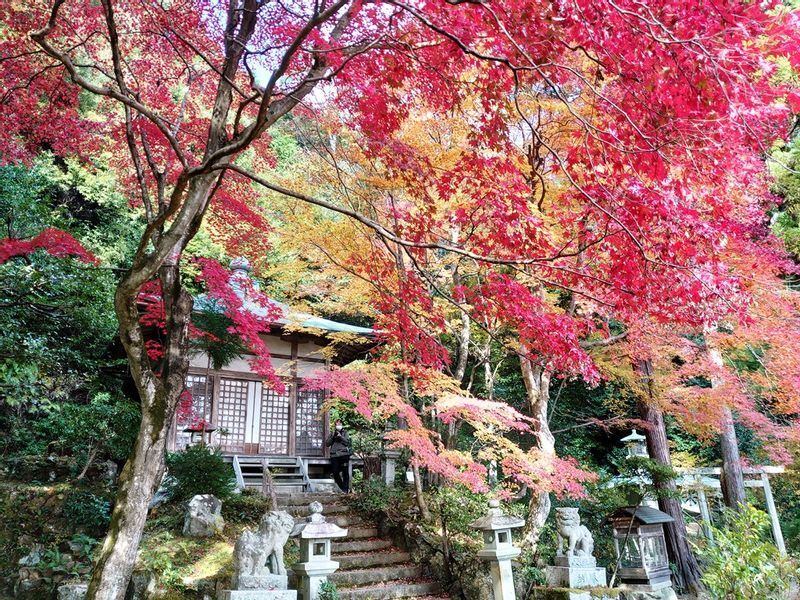 護法堂弁財天は、紅葉の時期でもまず誰もいない隠れスポット