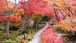 京都の定番紅葉名所！嵐山・嵯峨野の紅葉の巡り方
