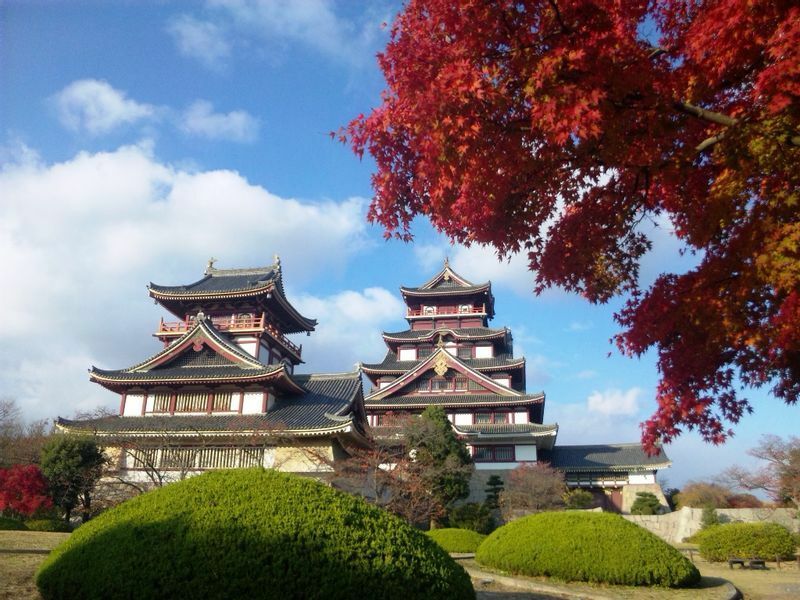 伏見桃山城の天守閣周辺は桜の木も多い