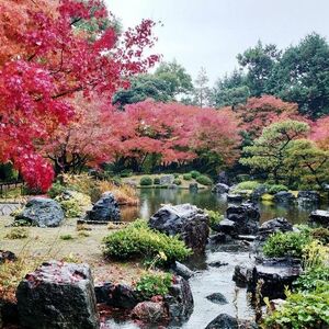 京都の紅葉の最後を飾る「洛南の紅葉」を紹介