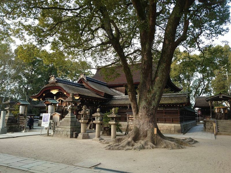 藤森神社の本殿は、江戸中期に中御門天皇の御所から移築された