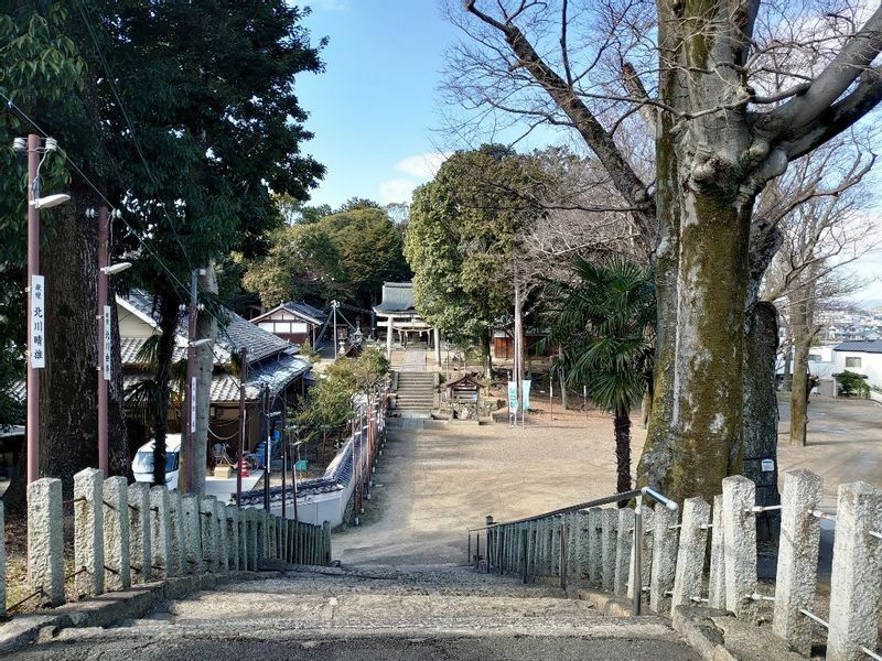 天井川から棚倉彦神社の境内を見下ろす