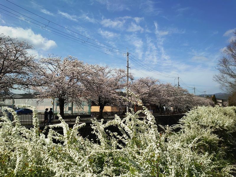 叡山電車の岩倉駅から歩いて京都国際会館に向かうのもおススメ