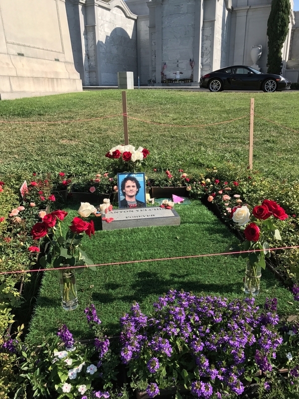 Anton Yelchin's grave / photo by yamazaki666