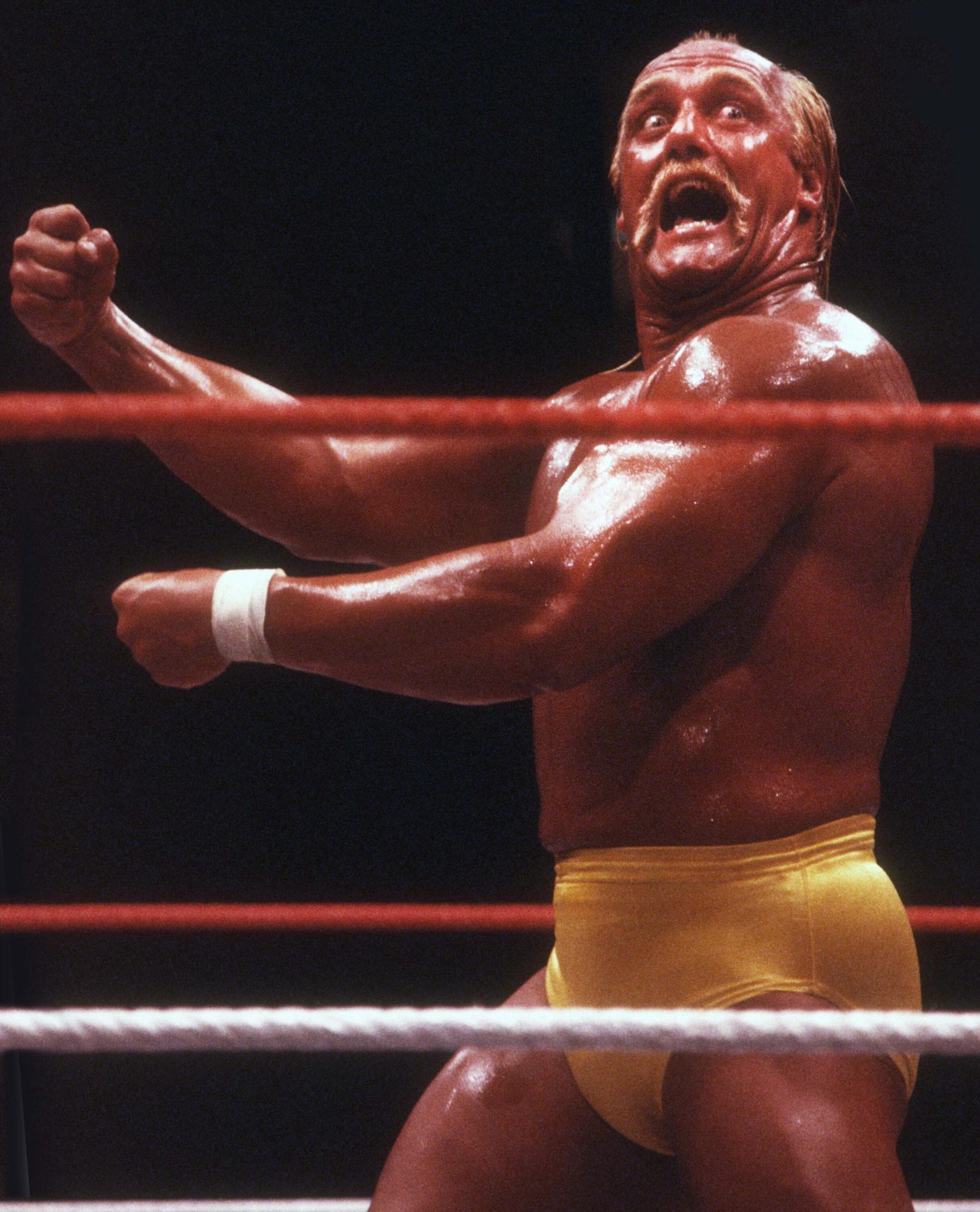 ビンテージ　ハルク・ホーガン　WWE　WWF 1991年　一番 GIJOE ハルク・ホーガン - Wikiwand