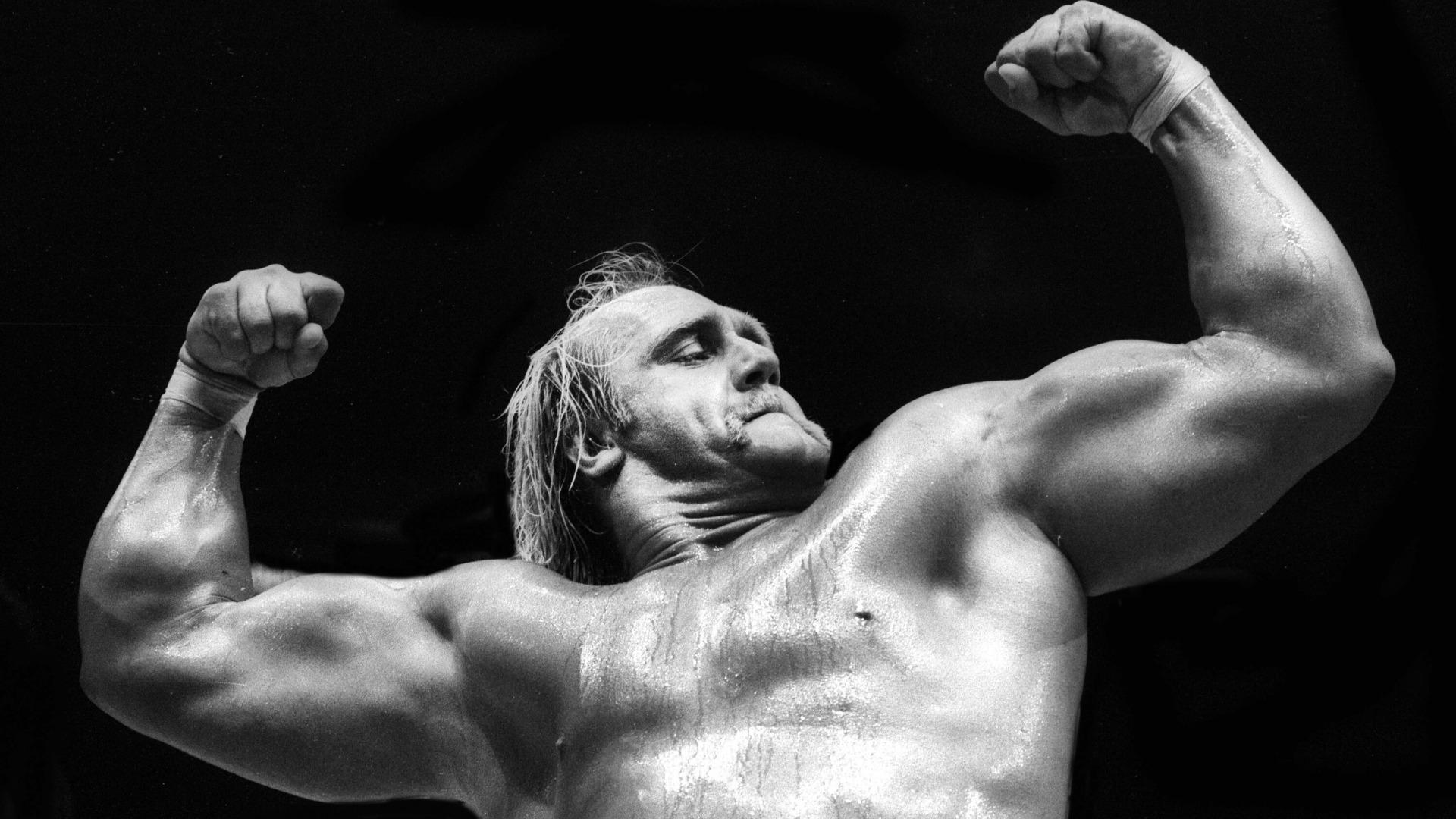 ハルク・ホーガン/WWE ハルク・ホーガン アルティメット・アンソロジー〈3枚… WWE ハルク・ホーガン Ultimate Anthology DVD (4枚組) | すべて