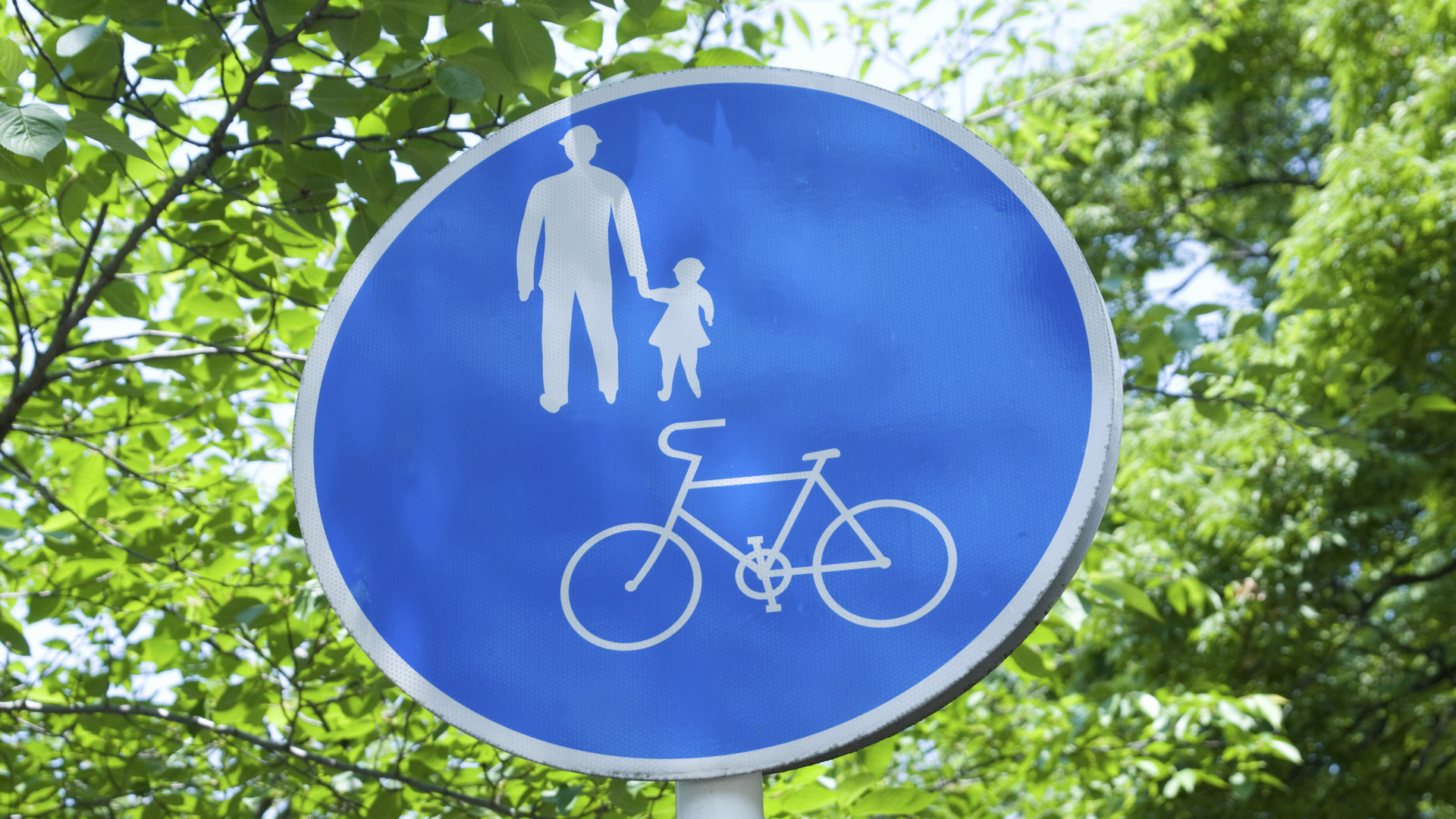 自転車 標識