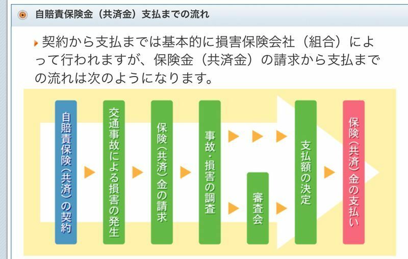 国土交通省、自賠責保険ポータルサイト（https://www.mlit.go.jp/jidosha/anzen/04relief/jibai/kind.html）より