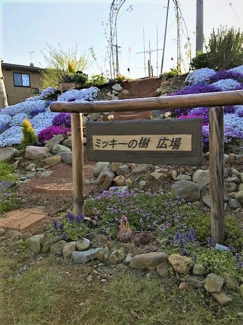 両親が信州に通いながら作った「ミッキーの樹　広場」。季節の花や樹木が植えられている（和田さん提供）