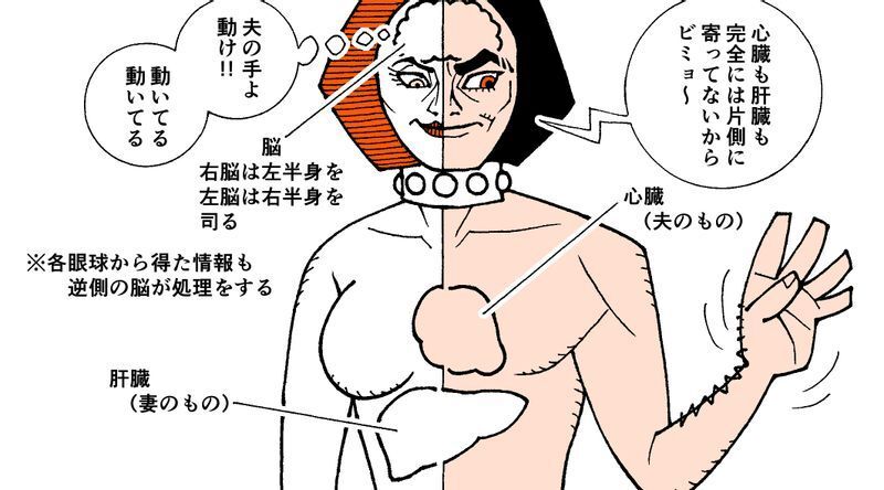 マジンガーz のあしゅら男爵は 右半分が女 左半分が男 そうなった理由が意外すぎる 柳田理科雄 個人 Yahoo ニュース マジンガーz のあしゅら男爵は 右半分が女 左半分が男 そうなった理由が意外すぎる 柳田理科雄 個人 Yahoo ニュース