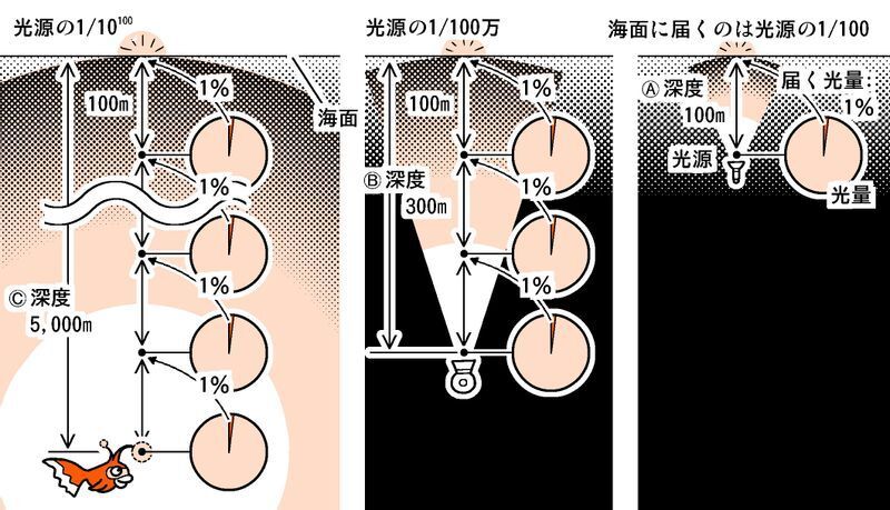 ポケモン ランターンの光は 深海から海面まで届く 光の強さを計算したら オドロキの結果に 柳田理科雄 個人 Yahoo ニュース ポケモン ランターンの光は 深海から海面まで届く 光の強さを計算したら オドロキの結果に 柳田理科雄 個人 Yahoo ニュース
