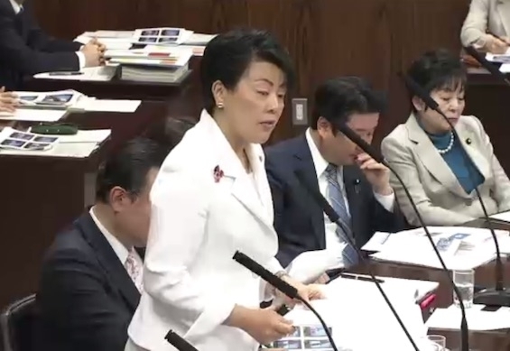 NHK映像問題を取り上げる有村治子参議院議員（4月13日、内閣委員会）