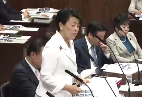 NHK映像問題を取り上げる有村治子参議院議員(4月13日、内閣委員会)