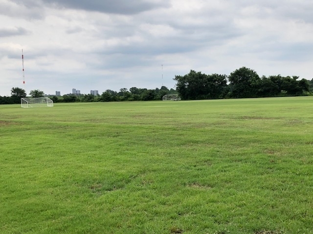 2020年7月の天然芝グラウンド。ここまで緑が戻っている（撮影：矢内由美子）