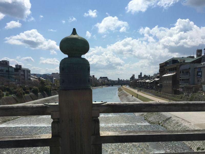 地元民から観光客、インバウンドまで幅広い客層で京都のラーメンは人気が高い。