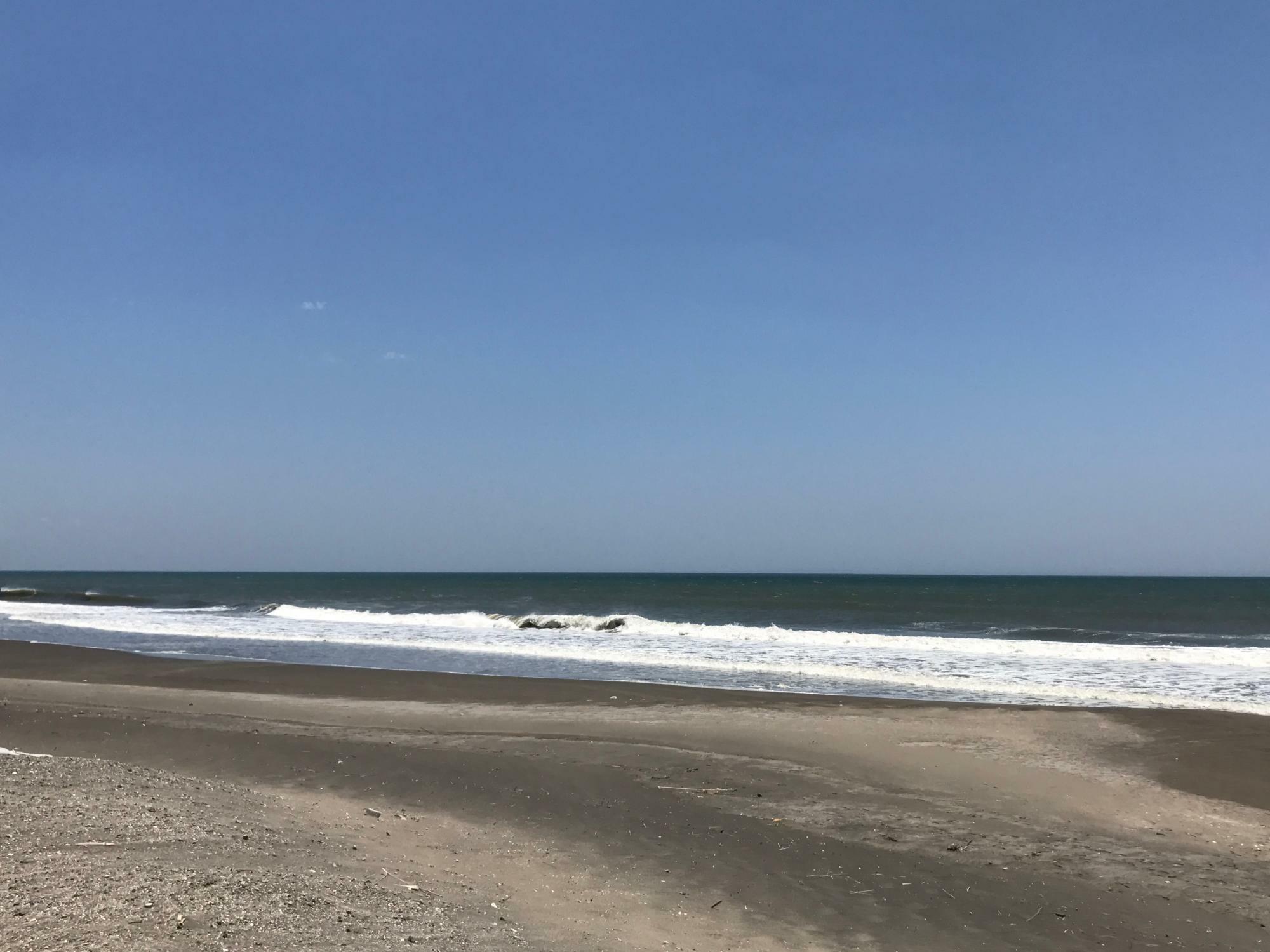 三方を海に囲まれて山もある千葉県は食材の宝庫だ。