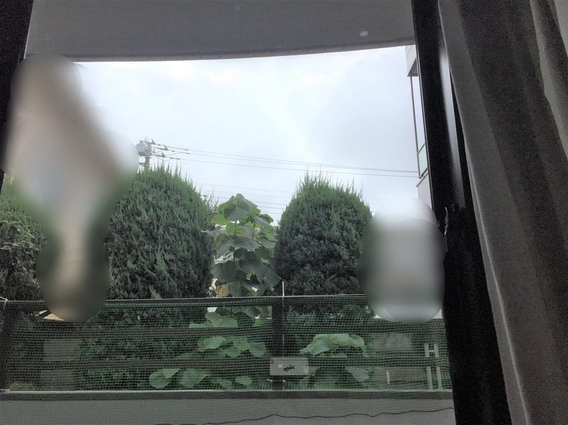 うちの窓から(写真は画像処理してあります)